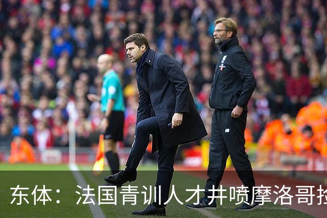 东体：法国青训人才井喷摩洛哥捡便宜，争取布阿迪时展现极大诚意